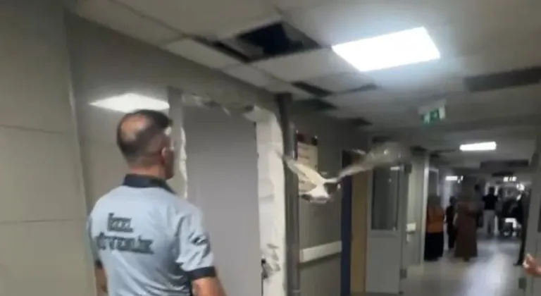 Acil serviste tatlı misafir: Bursa'da bir martı acile uçarak girdi