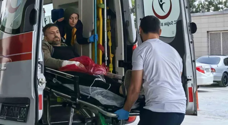 Ağaç keserken elini kesti