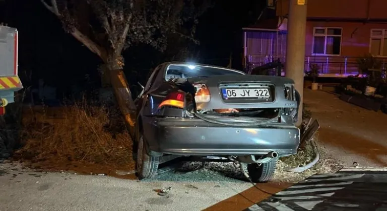 Alkollü sürücü ağaca çarptı: 2 yaralı