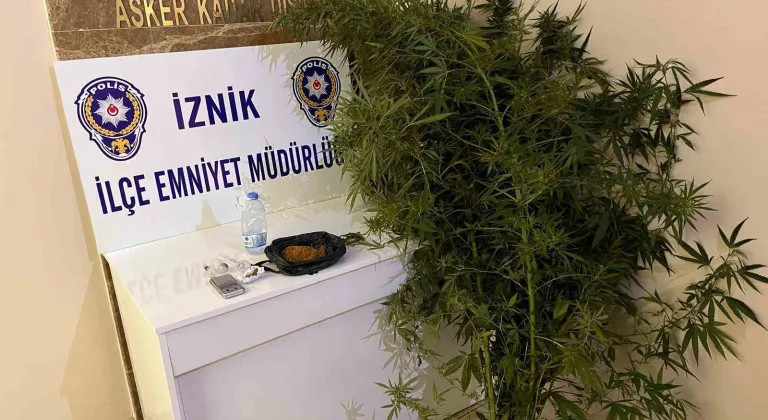 Bahçesinde hint keneviri yetiştiren kişiler tutuklandı