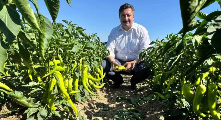 Başkan Özel’den tarım işçilerine ziyaret