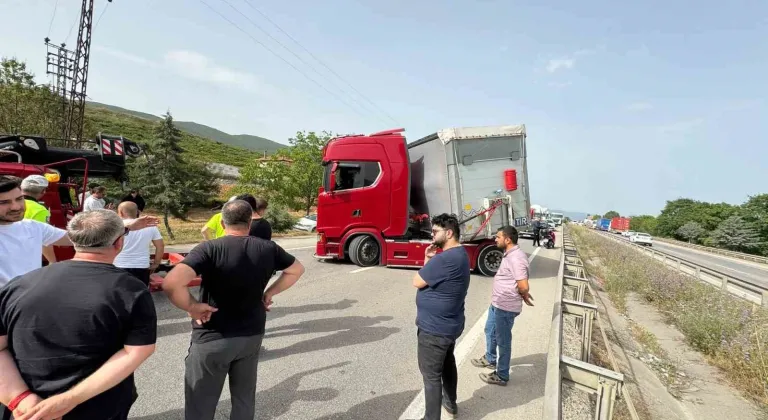Bir arının yaptığına bakın! Tır sürücüsü şoka girdi...