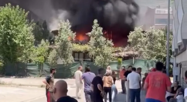 Bir yangın da Gemlik'te çıktı