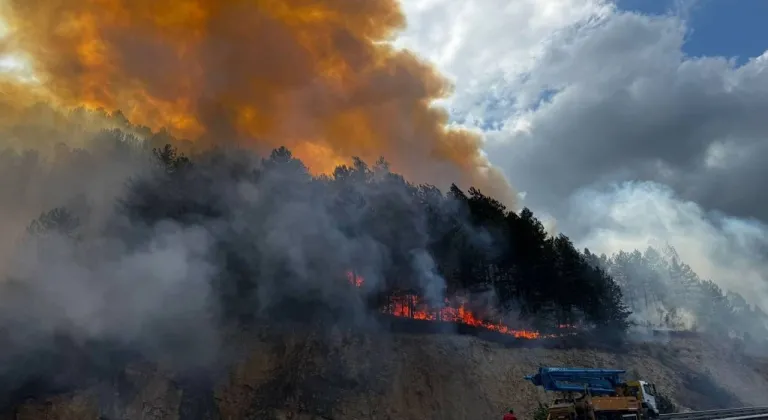 Bolu'da orman yangını başladı
