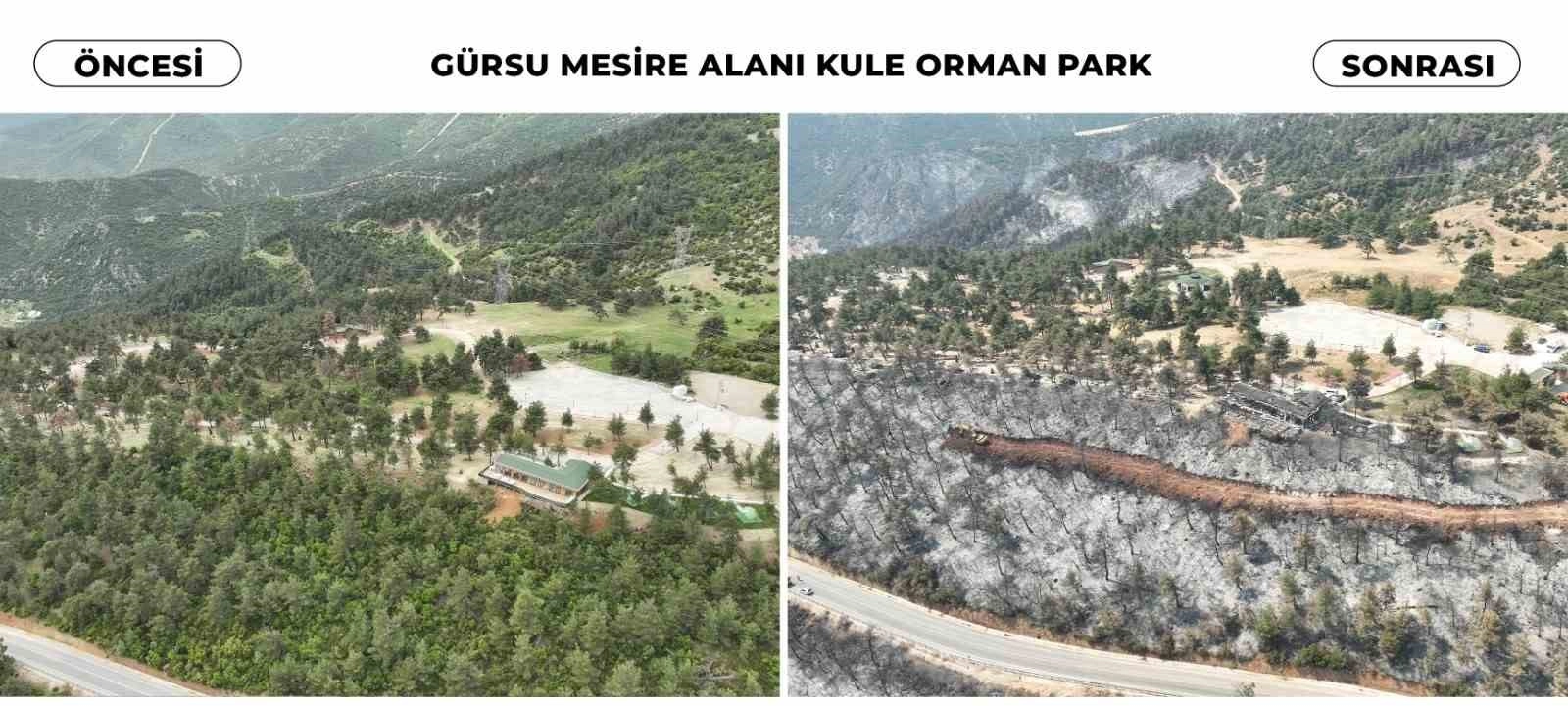 Böyleydi böyle oldu
