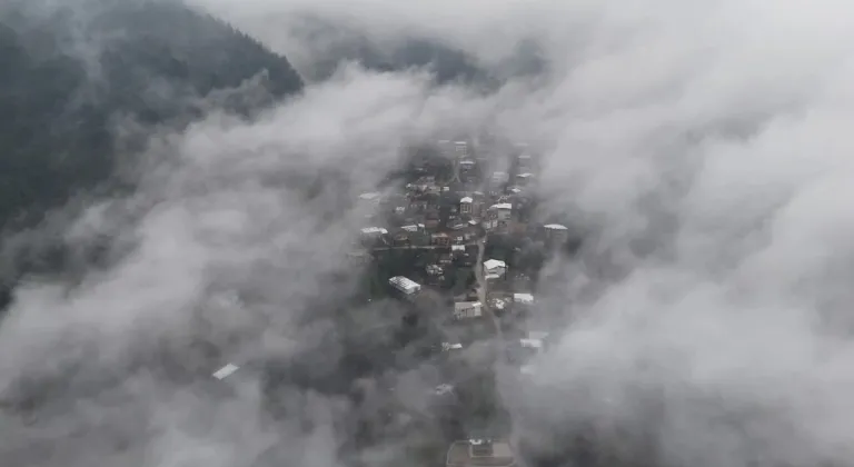 Burası Karadeniz değil, Bursa...