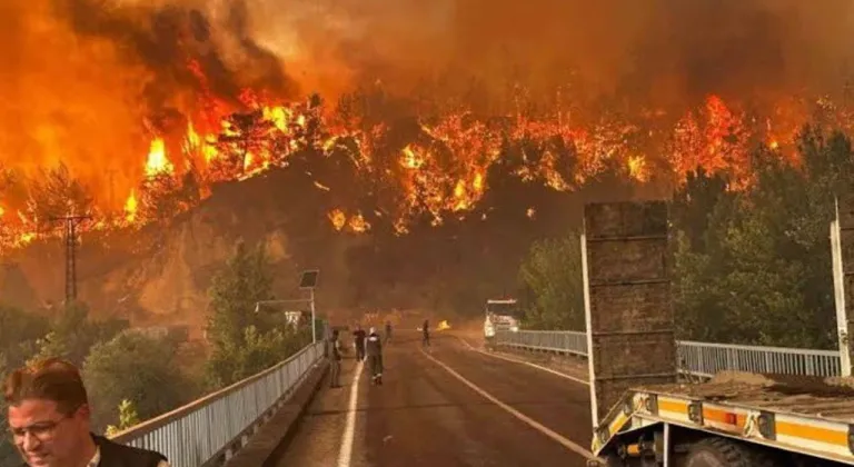 Bursa'da ağaçlandırma seferberliği başladı! İlk fidanlar yanan bölgeye dikilecek
