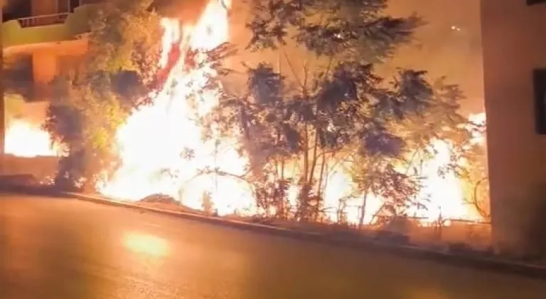 Bursa'da geceyi alevler aydınlattı!