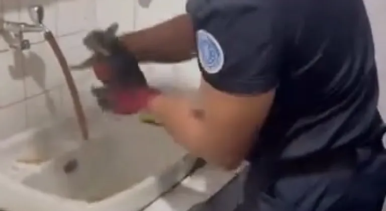 Bursa'da kedi kurtarma operasyonu!