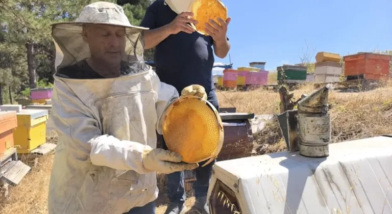 Bursa'da üretilen bu bal her derde deva