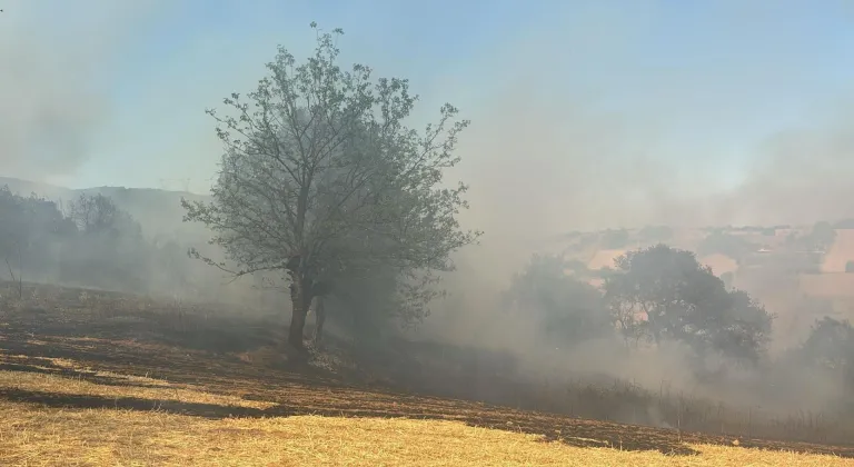 Bursa'nın iki bölgesinde orman yangını!