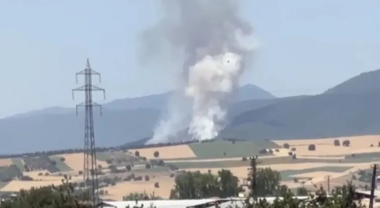 Bursa'nın o ilçesinde orman yangını