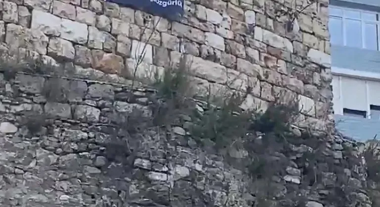 Bursa surlarına asıldı! Öcalan için...