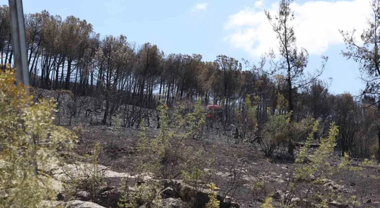 Bursa'da 7 dakikada bir yangın ihbarı geldi