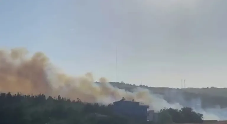 Bursa’da çalılık alanda yangın