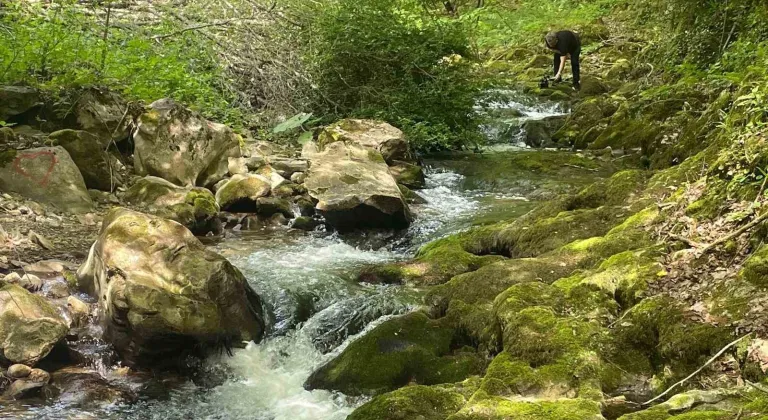 Sansarak Kanyonu doğa tutkunlarını bekliyor