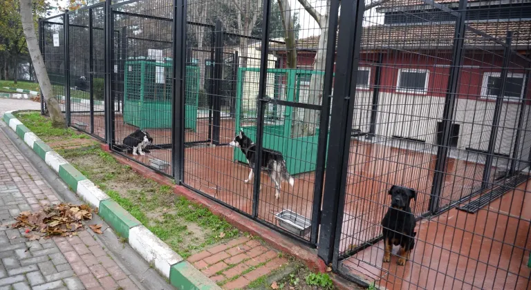 Bursa’da Hayvan Barınağı’na, ‘Çevik Kuvvet’ barikatı!