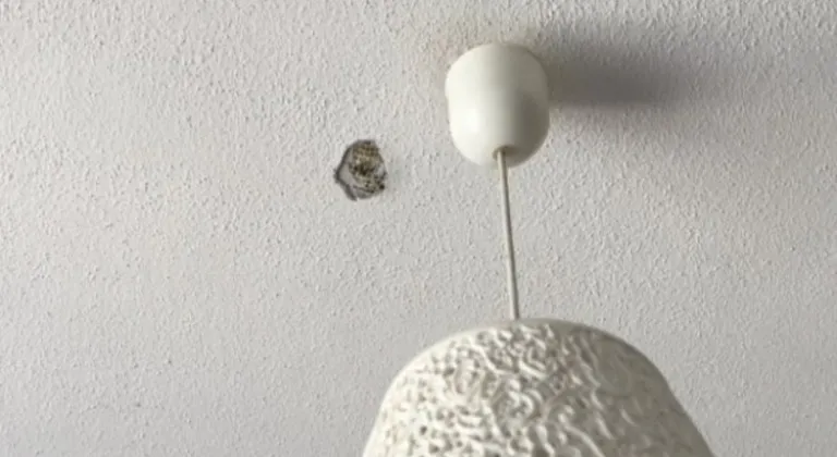 Bursa’da ilginç miras kavgası! Devreye üst kattan hilti girdi!