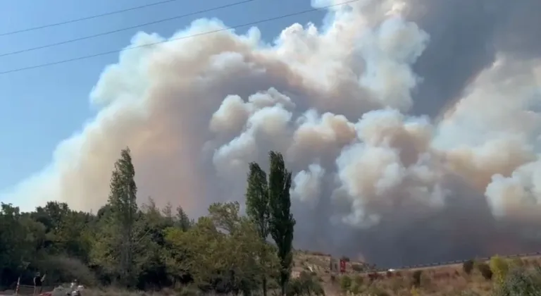 Devletin tüm kurumları Bursa yangını için seferber oldu