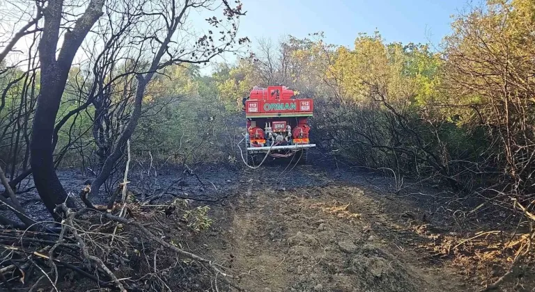 Bursa’da ormanlık alanda çıkan yangın kontrol altına alındı
