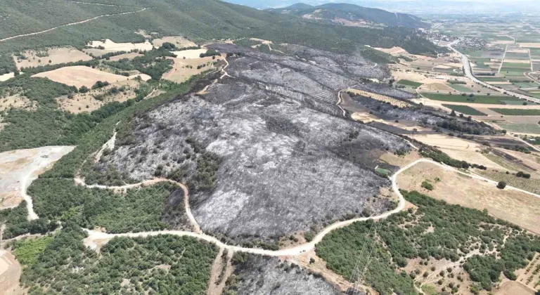 Bursa’daki yangınlarda 65 hektar küle döndü