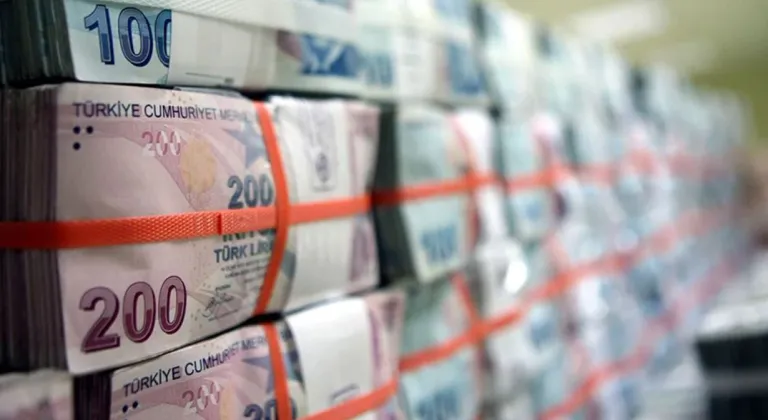 Bütçe Ağustos'ta 96,7 milyar TL fazla verdi
