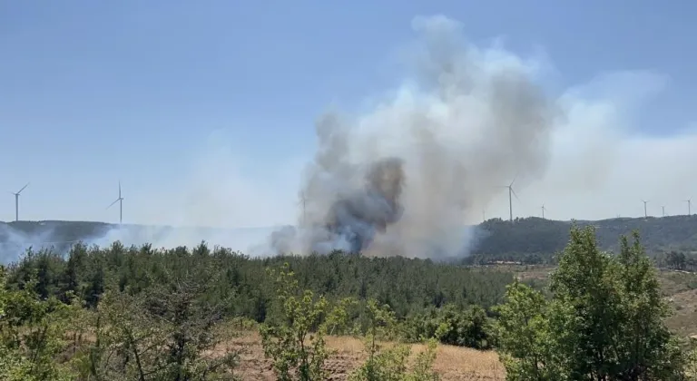 Çanakkale'de orman yangını çıktı!