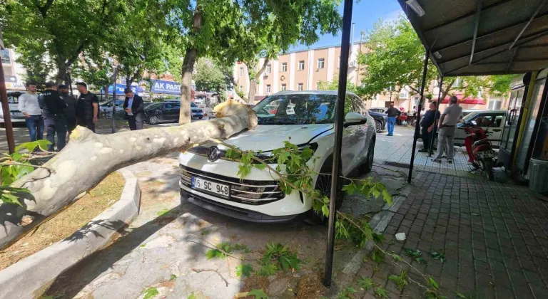 Bursa'da çınar ağacı lüks aracın üstüne düştü