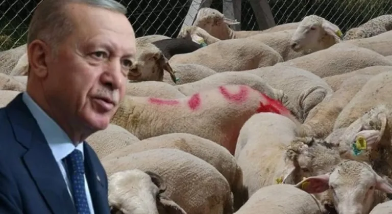 Cumhurbaşkanı Erdoğan kurbanda ne kesti?