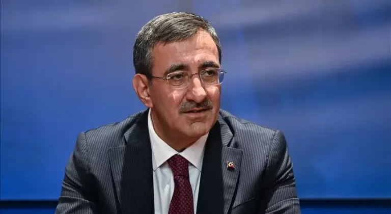 Cumhurbaşkanı Yardımcısı Yılmaz'dan orman yangınlarıyla mücadele açıklaması