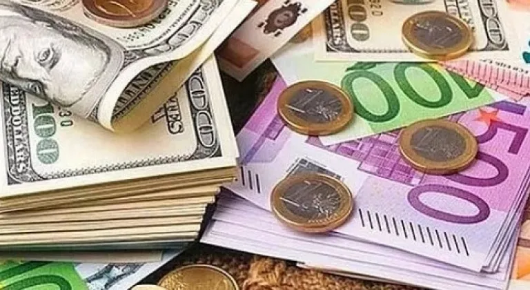 Dolar ve euro ne kadar oldu?
