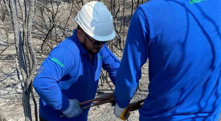Enerji hatları yangının ardından yeniden onarılıyor