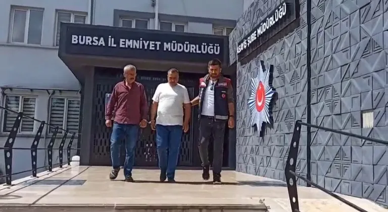 Enginarları bir gecede hasat eden hırsızlar yakalandı