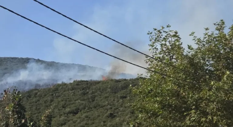 Gedelek yangını ile ilgili 1 kişi gözaltına alındı