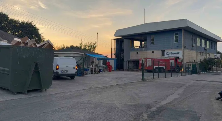 Gemlik'te korkutan yangın!