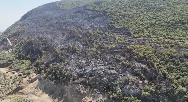 Hatay'da çıkan orman yangını kontrol altına alındı