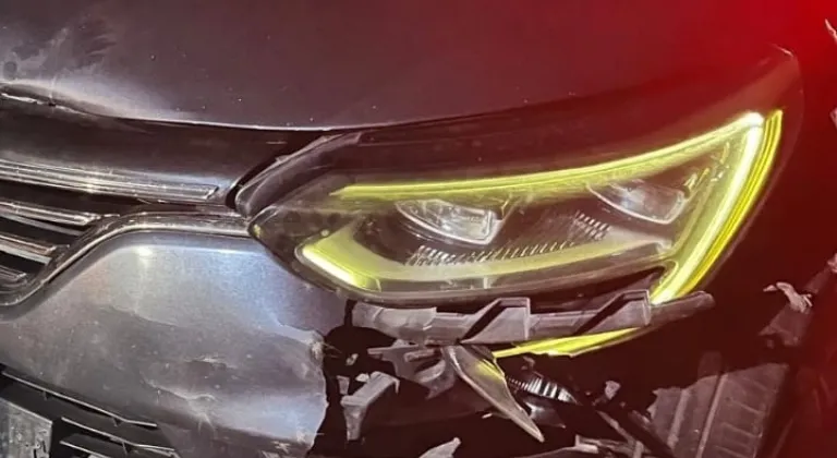 İnegöl'de otomobilin çarptığı ayı telef oldu