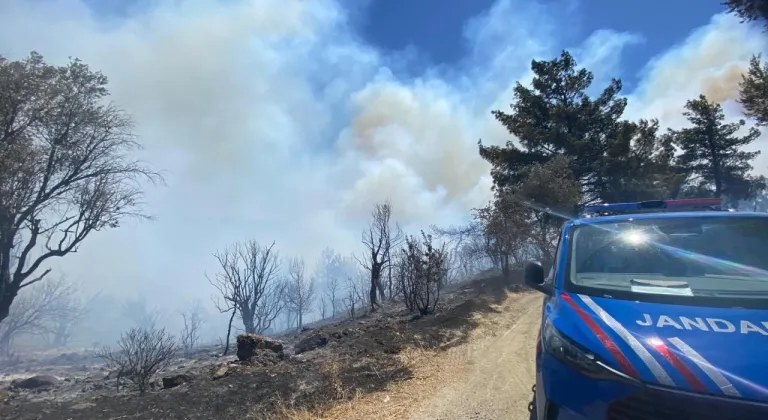 İzmir'de orman yangını: Havadan ve karadan müdahale ediliyor