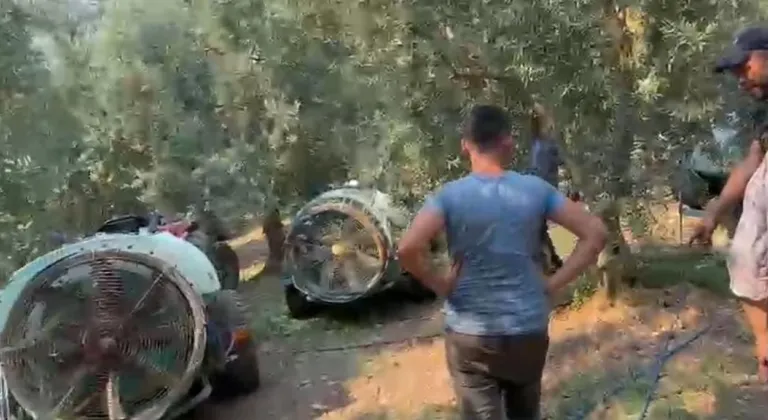 İznik’te çıkan yangın kontrol altına alındı