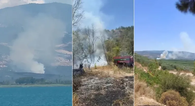 İznik’te orman yangını