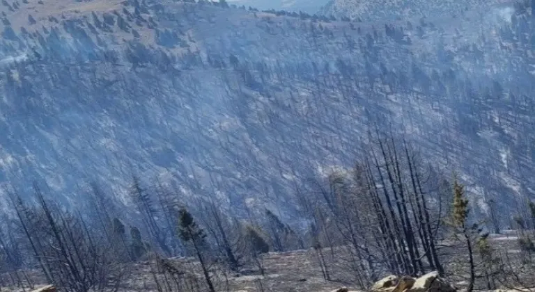 Kahramanmaraş'ta orman yangını devam ediyor!