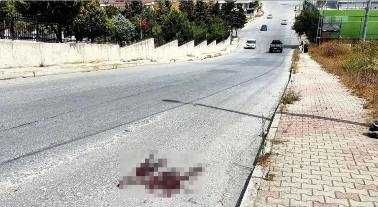 Kardeş kavgası cinayetle bitti! 1 kişi hayatını kaybetti