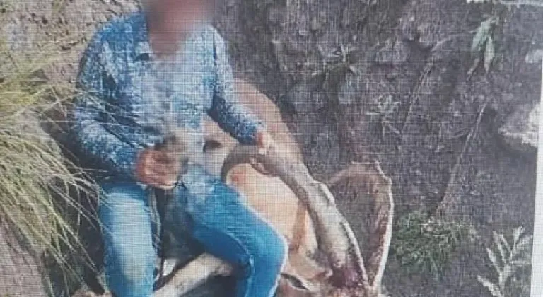 Kars’ta 1 kişi yaban keçisi avladı: 650 bin lira ceza ödedi