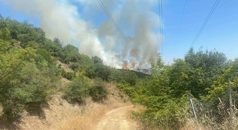 Bursa'da neler oluyor? Yanan ormanın yanında yeniden yangın başladı