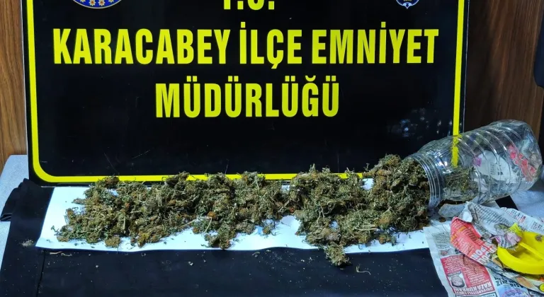 Kuş kümesinde bakın ne çıktı?