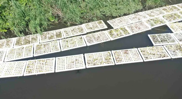 Marmara Denizi’ni besleyen derelerde "Yüzer Ada Projesi" hayata geçirildi