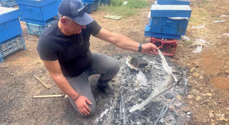 Milyonlarcası ateşe uçtu bir daha geri dönmedi