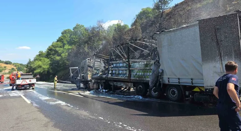 Motor yağı yüklü tır alev alev yandı, ormana sıçrayan yangın güçlükle söndürüldü