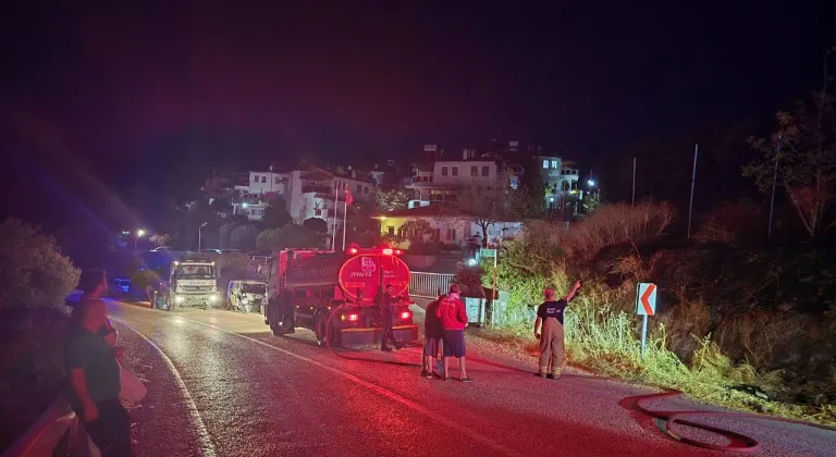 Mudanya'da korkutan yangın! Otluk alandan alevler yükseldi