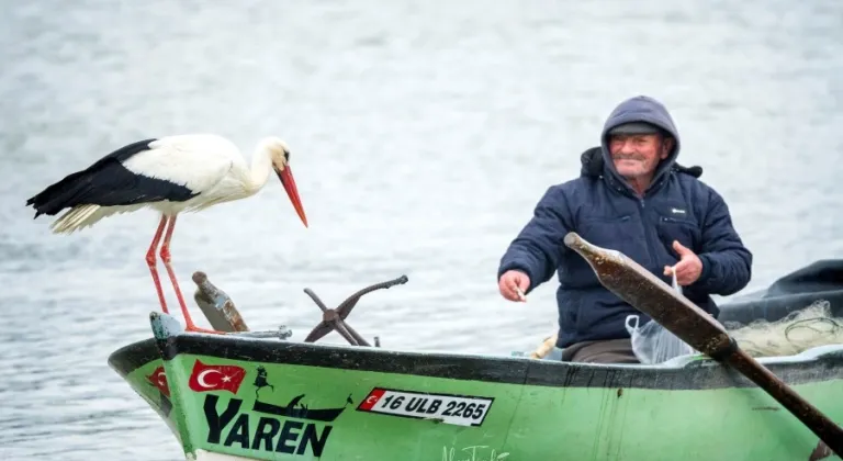 Manşet Resmi